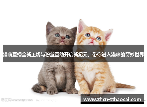 猫萌直播全新上线与粉丝互动开启新纪元，带你进入猫咪的奇妙世界