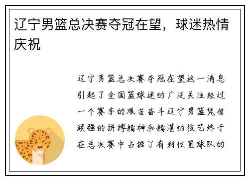 辽宁男篮总决赛夺冠在望，球迷热情庆祝